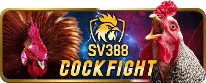 Cấp độ VIP Đồng tại mcw777 win